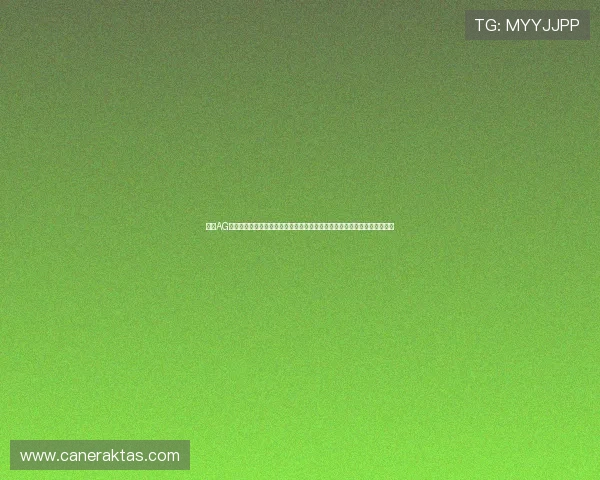 澳门AG真人娱乐平台详细介绍各种奖金制度和优惠政策助力玩家轻松赢得丰厚奖励