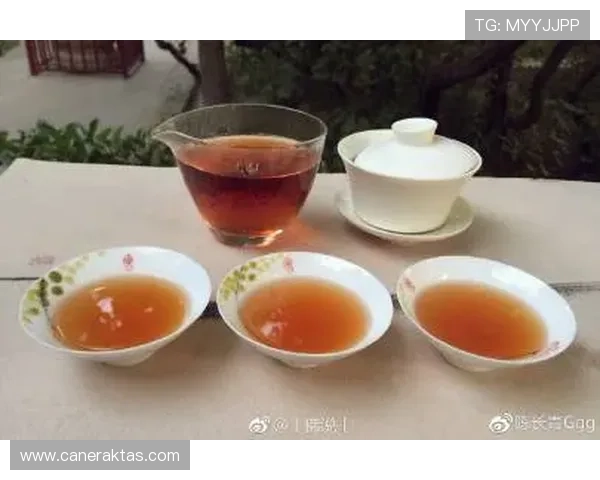 K8游乐城最新优惠活动与会员福利全面解析 K8游乐城最新优惠活动与会员福利全面解析