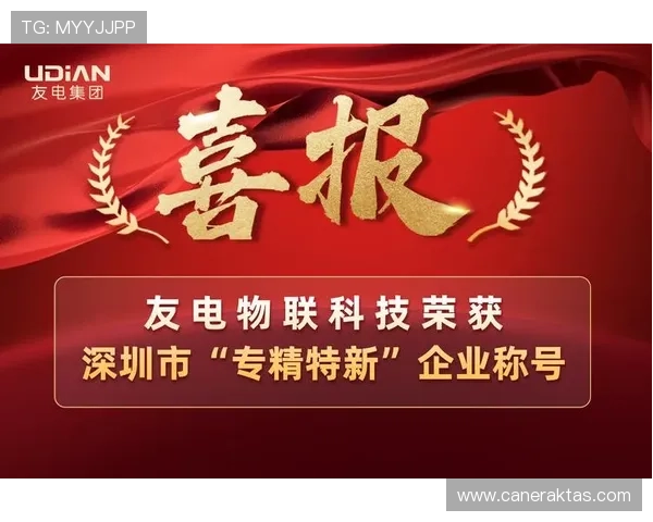 凯发k8天生赢家如何利用专业技巧提升中奖几率实现财富增长