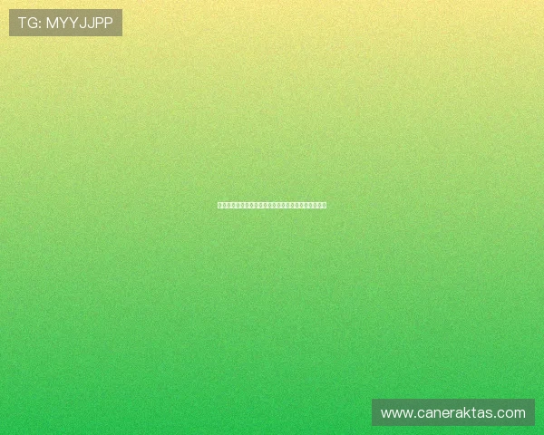 凯发一触即发官网新手入门指南，快速上手的实用技巧